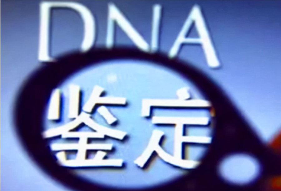 合肥上户口亲子鉴定基本的流程,合肥上户口亲子鉴定需要的材料