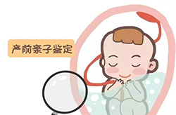 合肥胎儿亲子鉴定机构大概几天出结果